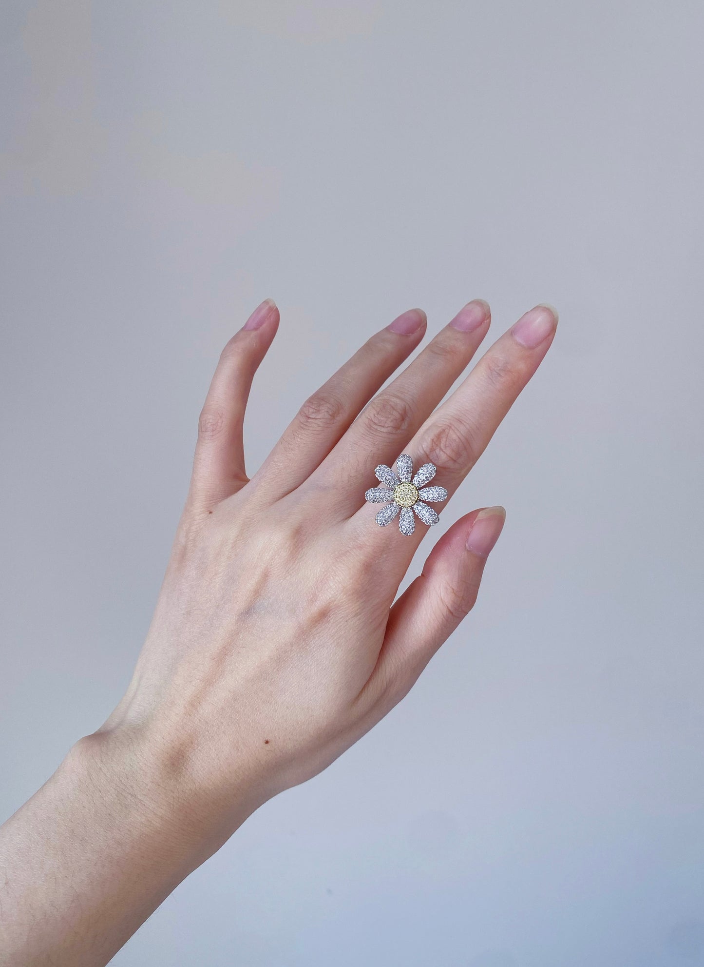 GD Same Series | Earrings & Rings & Brooches